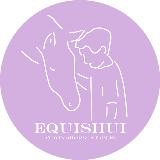 EquiShui Site Icon