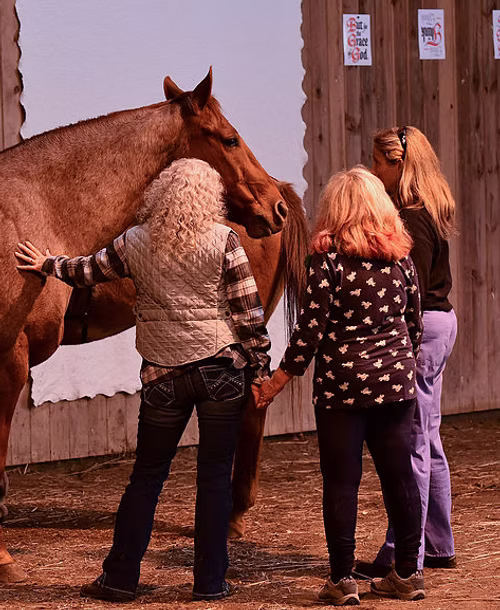 Two women standing with a horse outside the barn