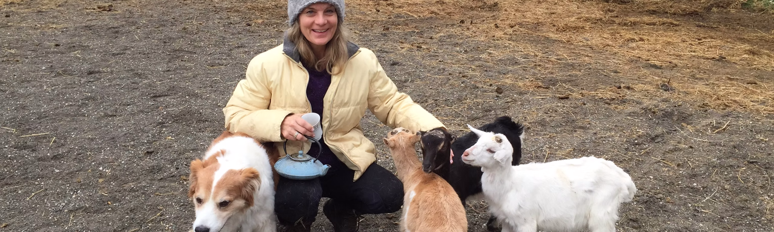 A woman crouching in the paddock with a dog and three goats